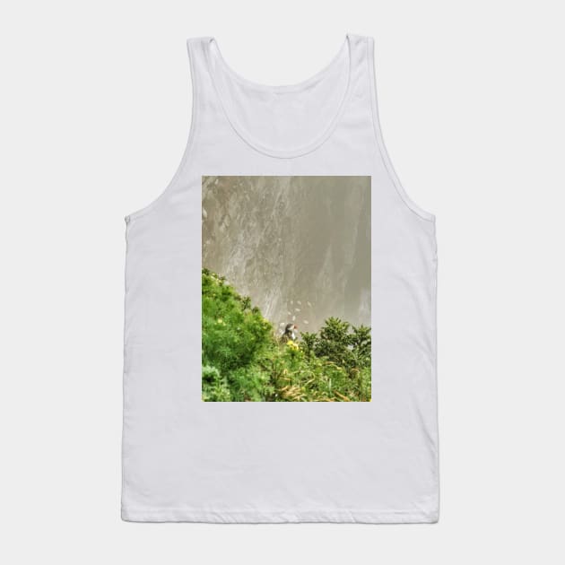 Cliff Birds Tank Top by AmyHuntPhotos